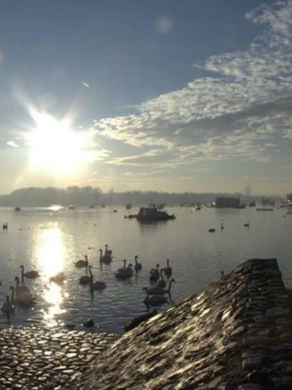 Apartment Park Beograd Ngoại thất bức ảnh